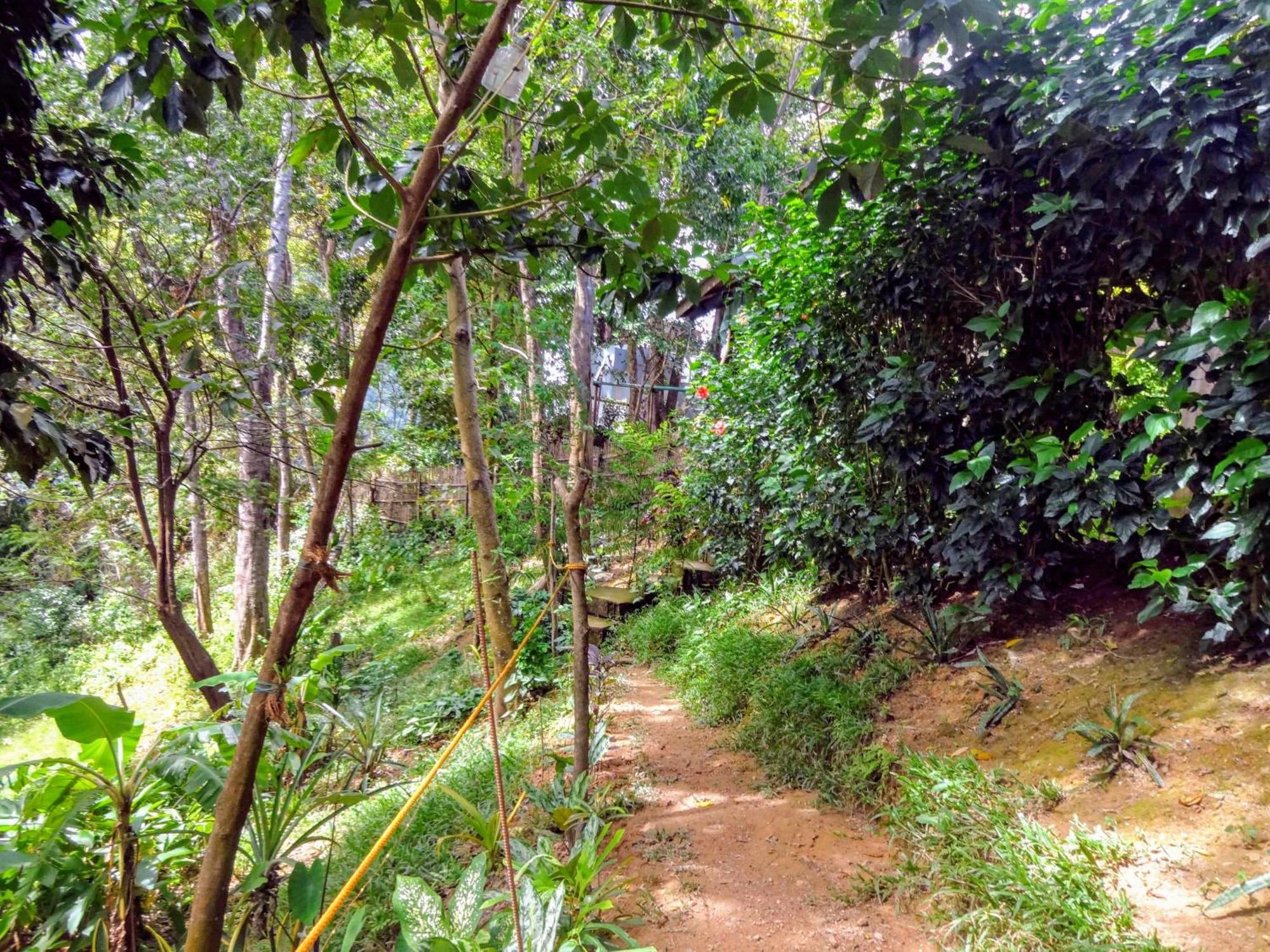 Camp Talusi Hilltop Overlooking El Nido Oda fotoğraf